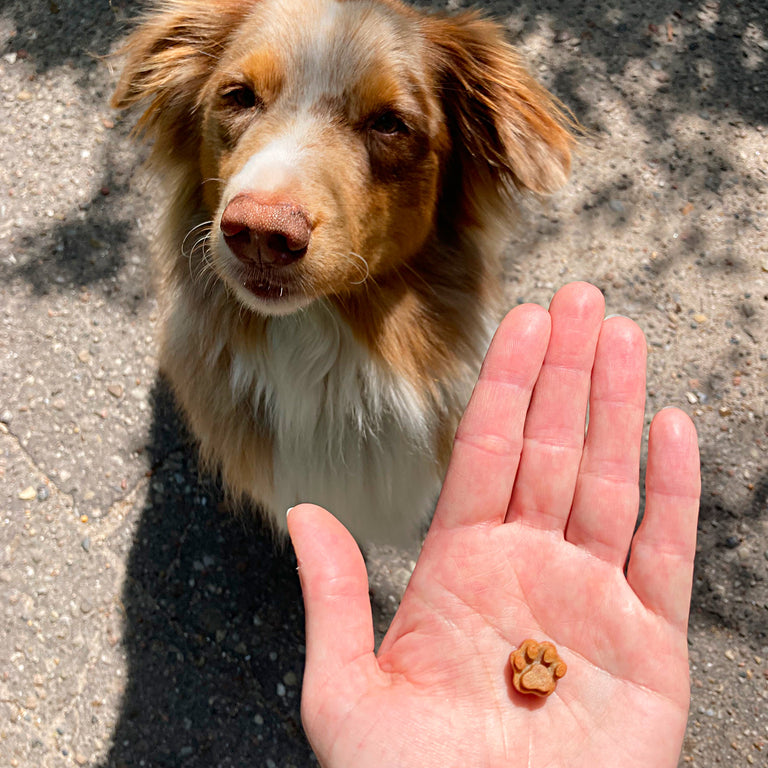 Leckerli Backmatten für Katzen