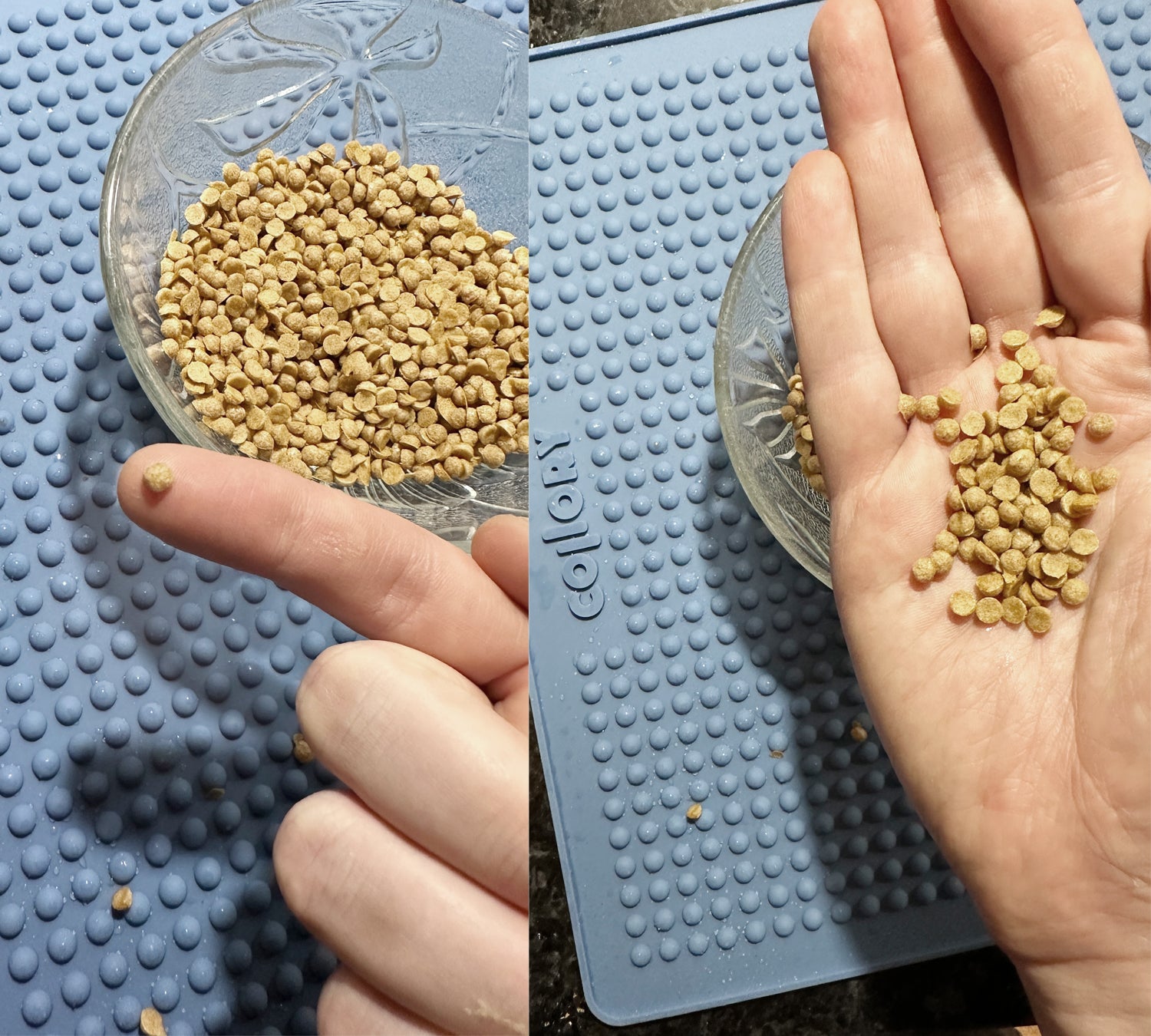 Collory Backmatten für Hundeleckerlis in Halbkugelform