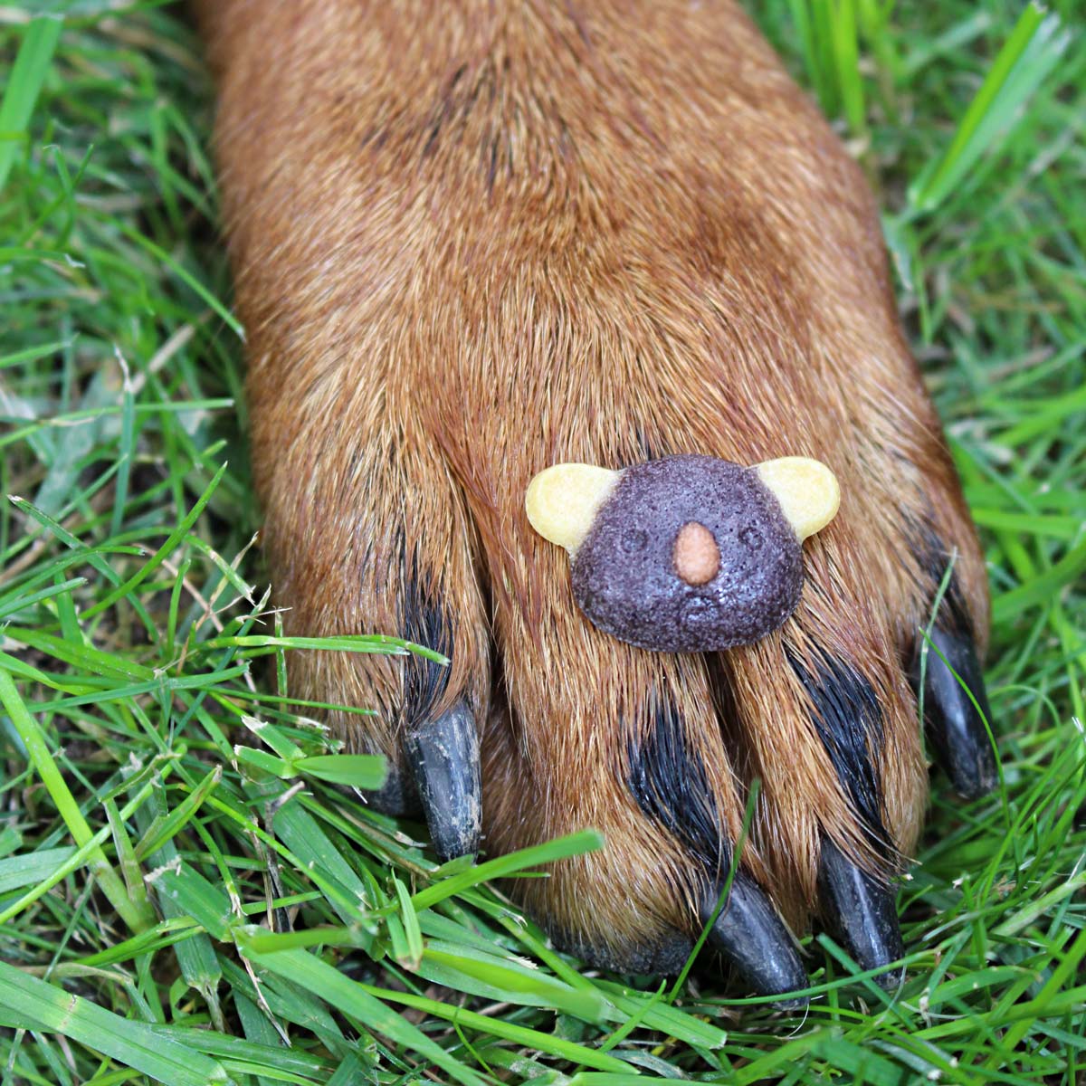 Collory Backmatten für Hundeleckerlis in Tierköpfe