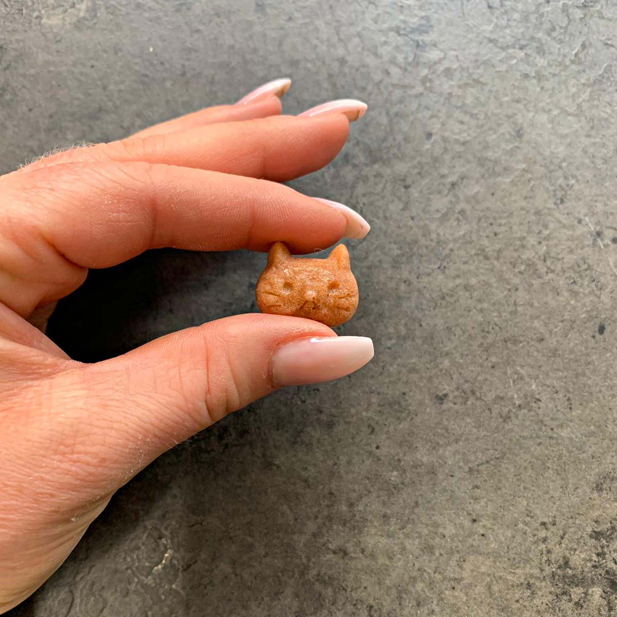 Collory Backmatten für Hundeleckerlis in Tierköpfe