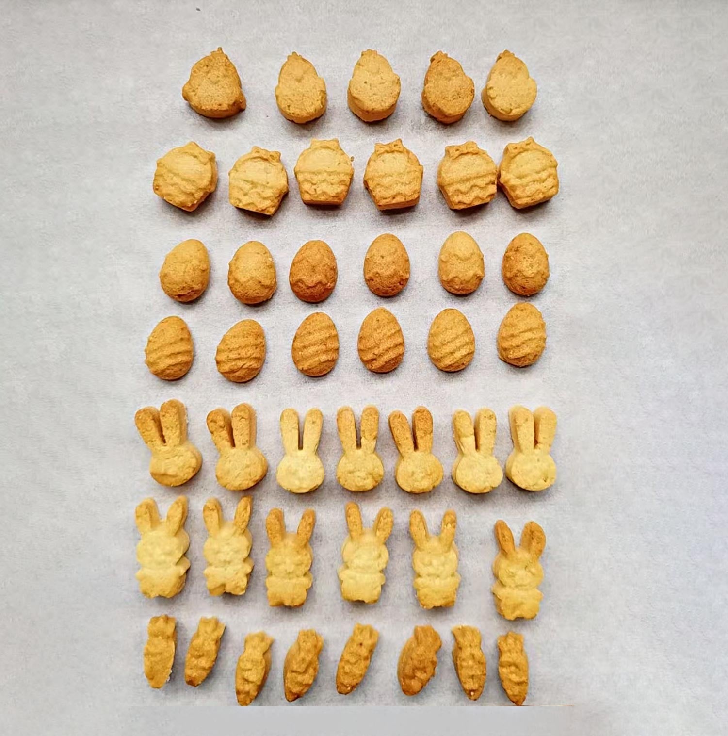 Collory Backmatte für Hundeleckerlis in Ostermotive