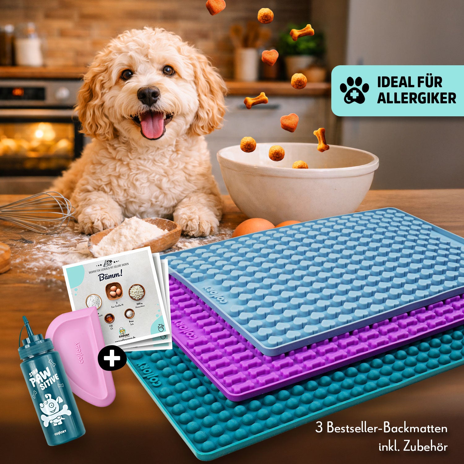 Collory Backmatten Hundekekse Starter Paket: Für kleine - mittelgroße Hunde