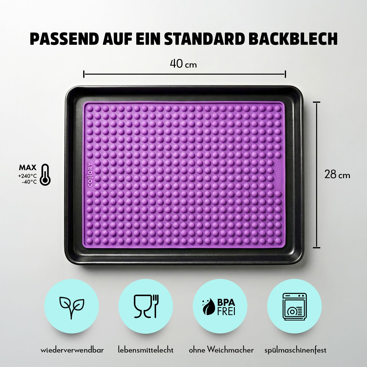 Collory Backmatten Hundekekse Starter Paket (kleine/mittelgroße Hunde)