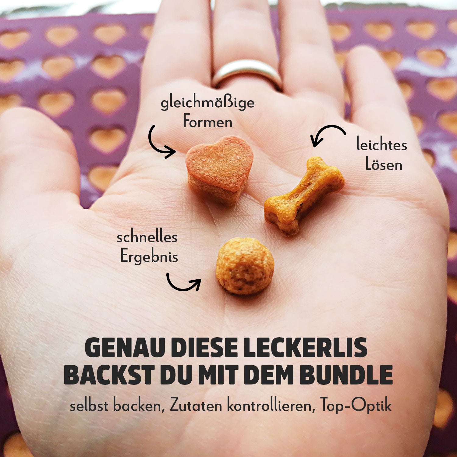 Collory Backmatten Hundekekse Starter Paket (kleine/mittelgroße Hunde)