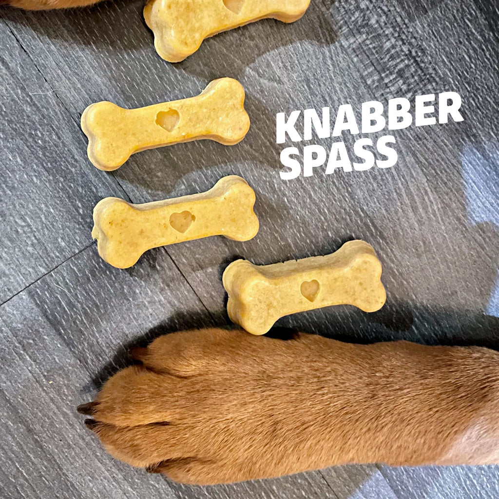 Knochen Backmatten in (Mini, Medium, Groß)