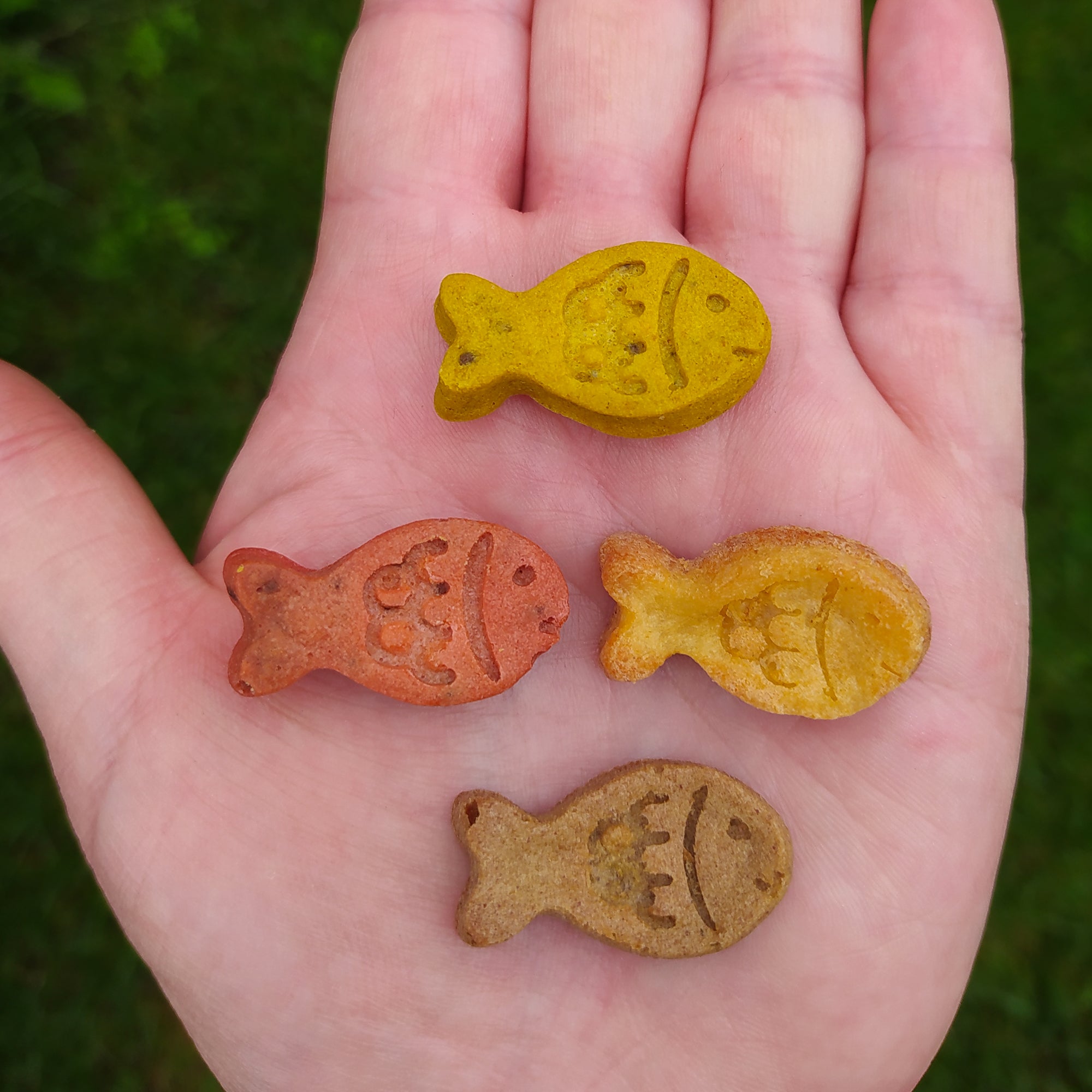 Collory Backmatten für Hundeleckerlis in Fischform