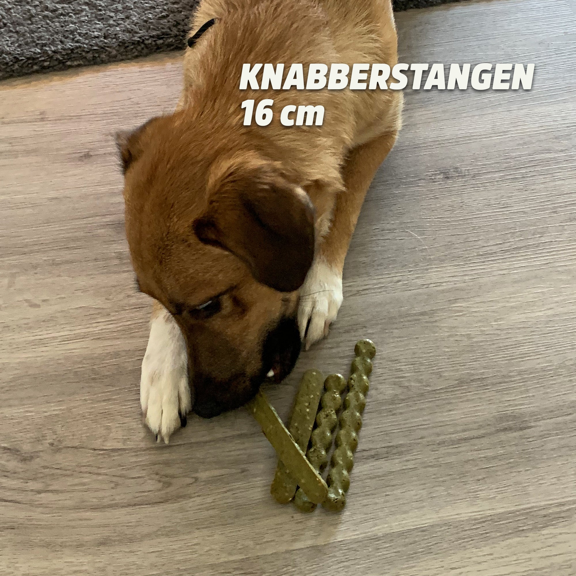 Collory Backmatten für Hundesnack in Stangenform