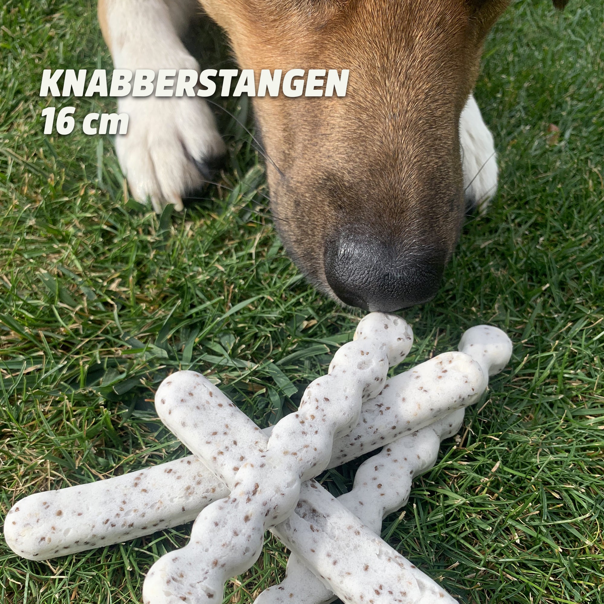 Collory Backmatten für Hundesnack in Stangenform
