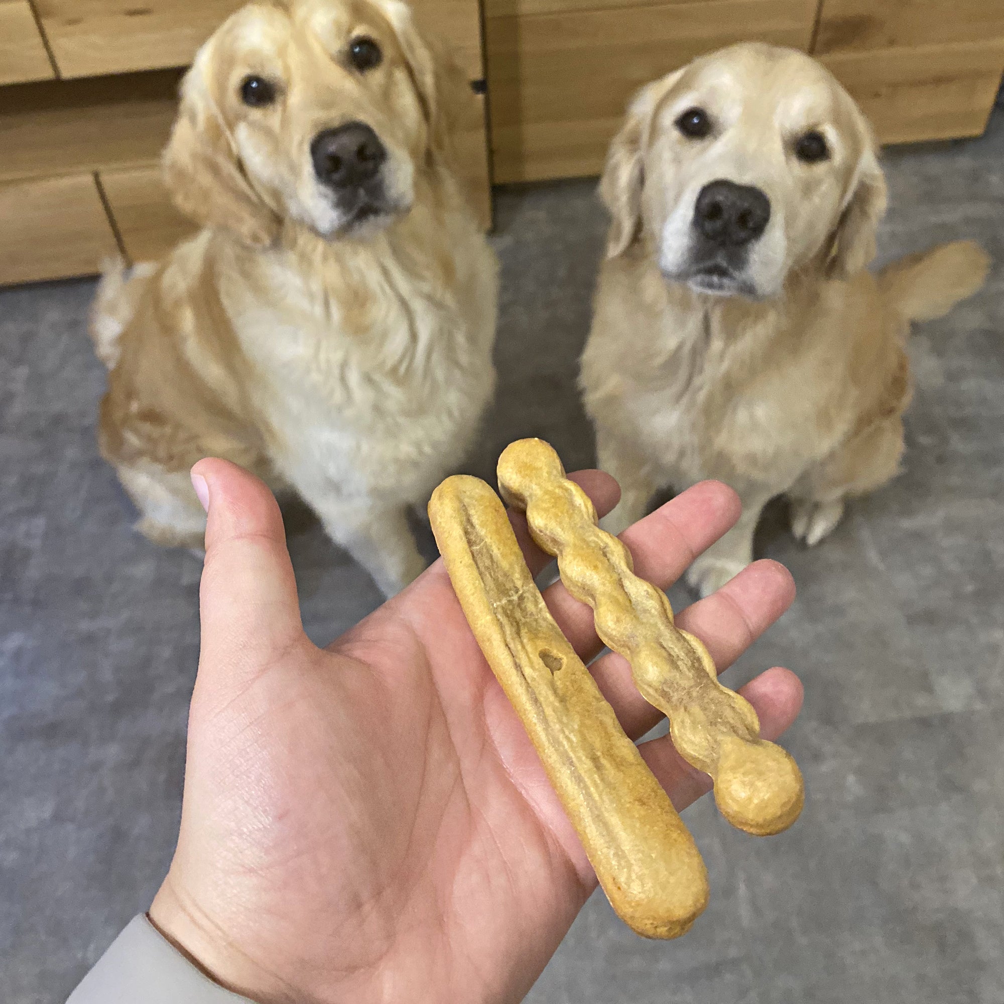 Collory Backmatten für Hundesnack in Stangenform